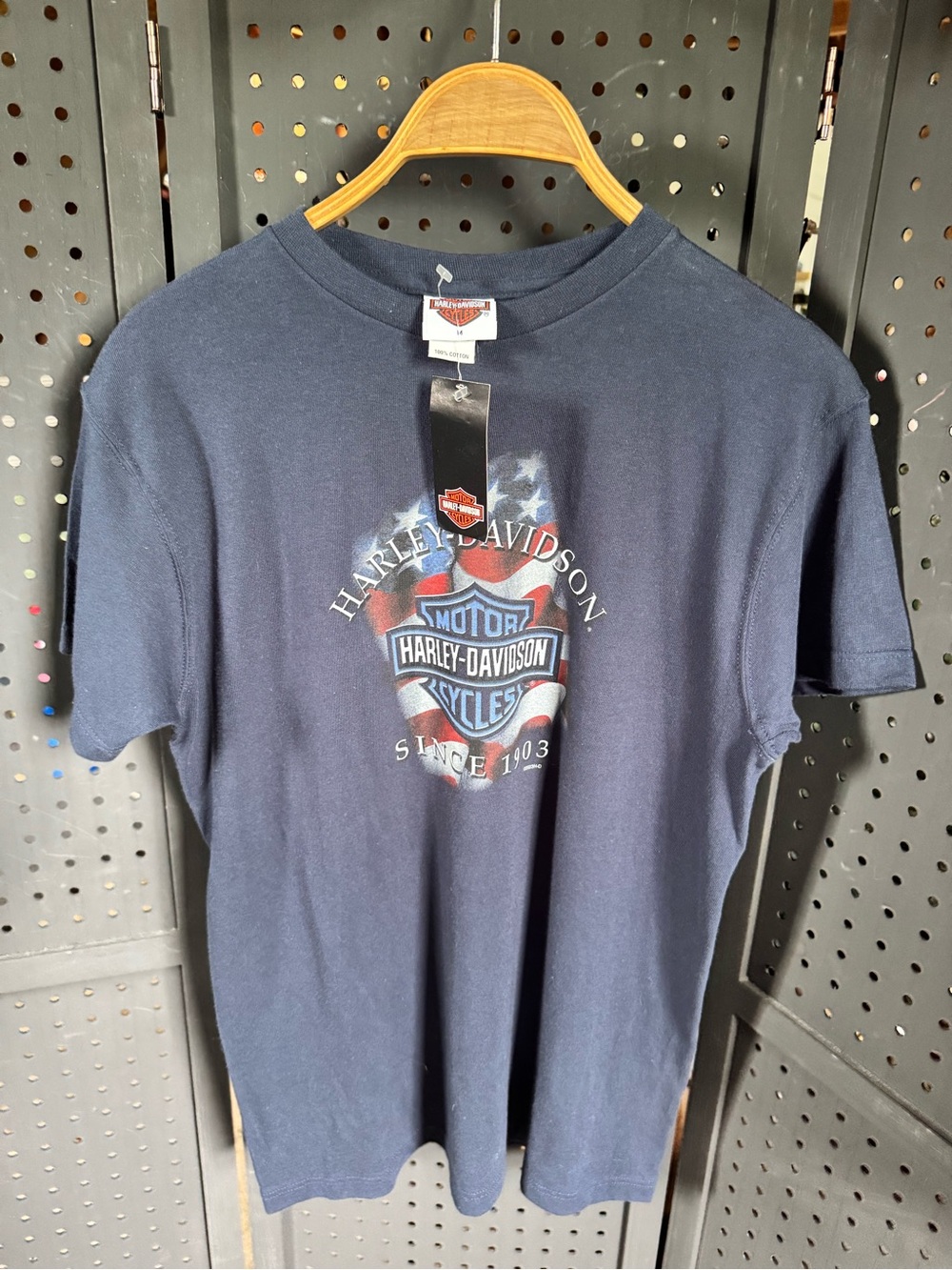 Harley-Davidson Men's Navy T-shirt